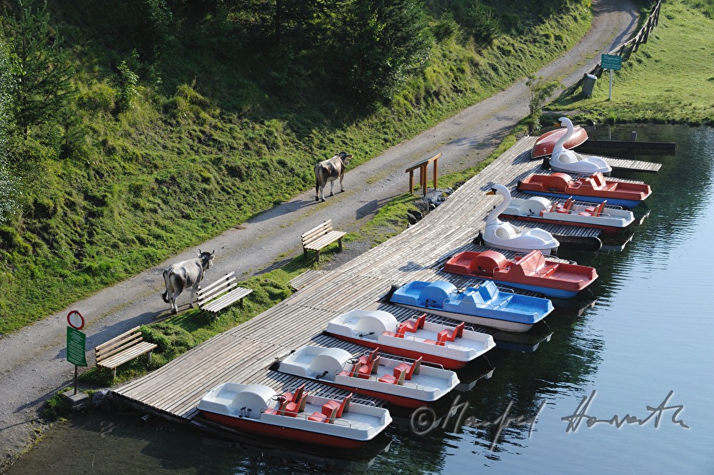 Fernsteinsee am Fuße des Fernpasses