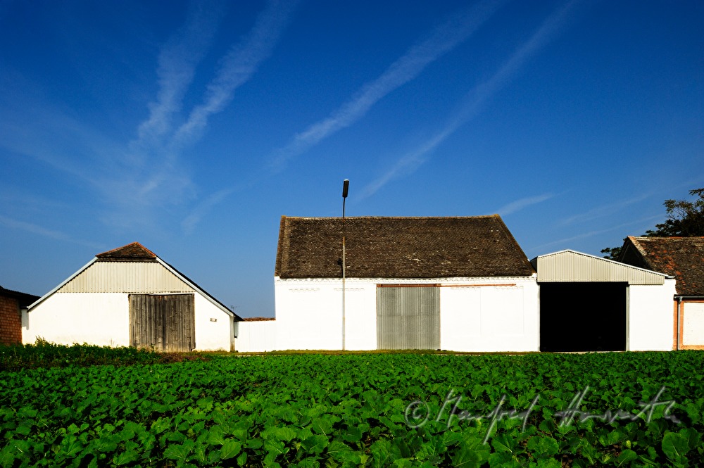 landwirtschaftlich genutzte Scheunen
