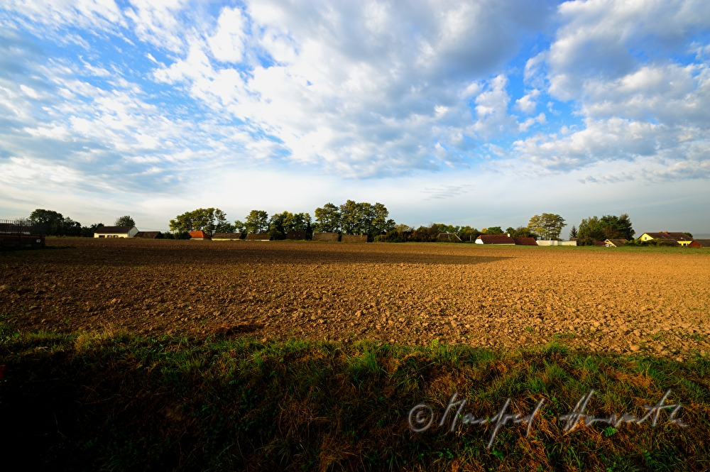 frisch gepflügtes Feld und Weinkeller