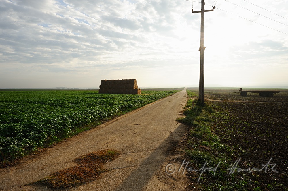 Feldweg und Strohtriste