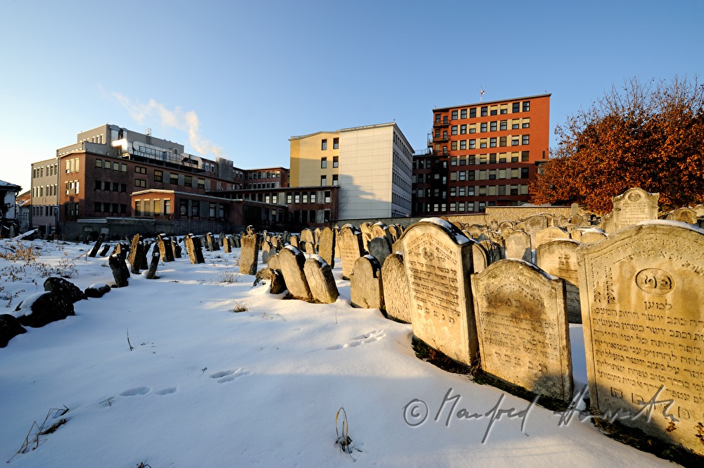 jüdischer Friedhof auf dem Oberberg