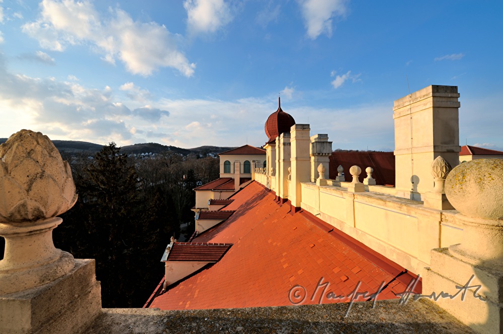 Dach des Schloß Esterházy und Leithagebirge