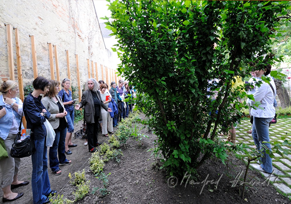 Kräutergarten-Führung von Miriam Wiegele