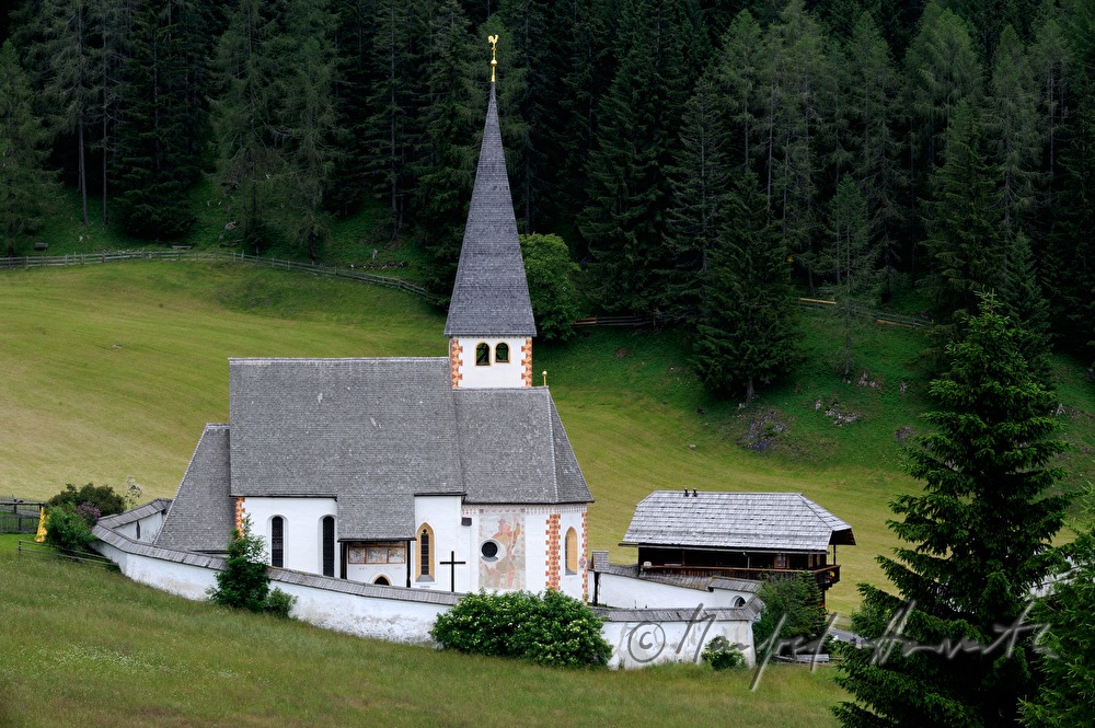 Kirche St. Oswald und Wald