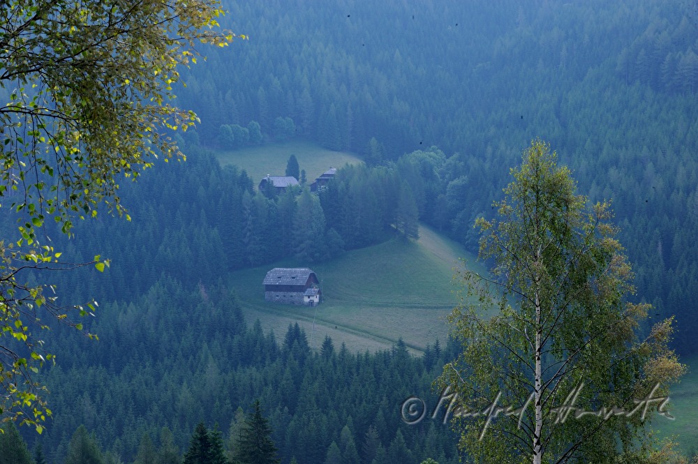 Bergbauernhöfe im Wald und Birke