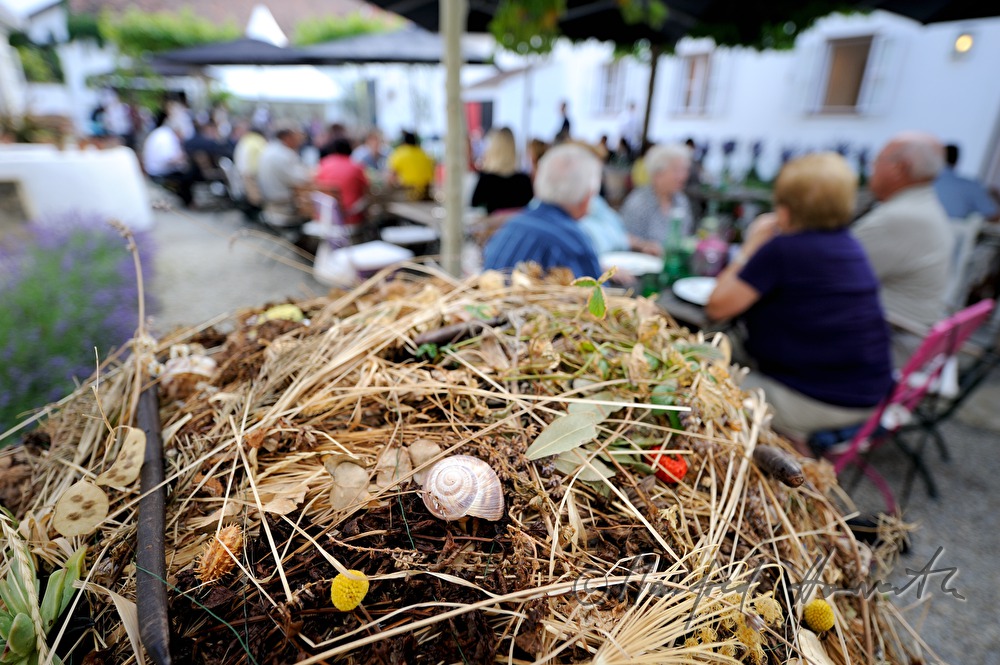 Hoffest  bei Max Stiegl im Gut Purbach