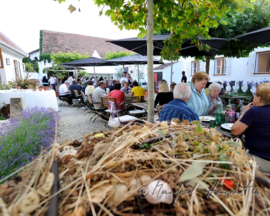 Hoffest  bei Max Stiegl im Gut Purbach