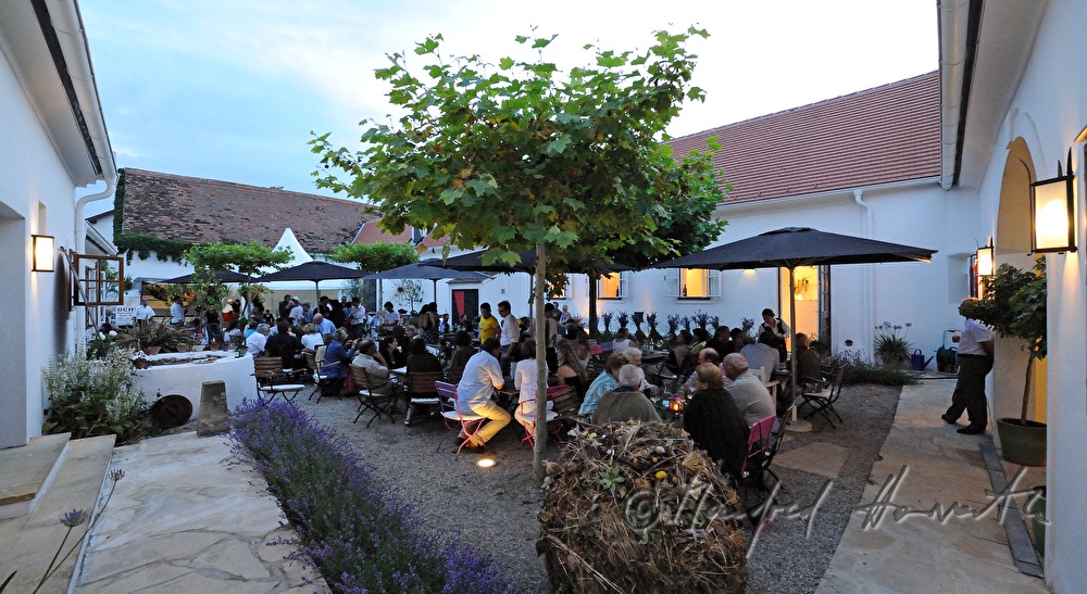 Hoffest  bei Max Stiegl im Gut Purbach