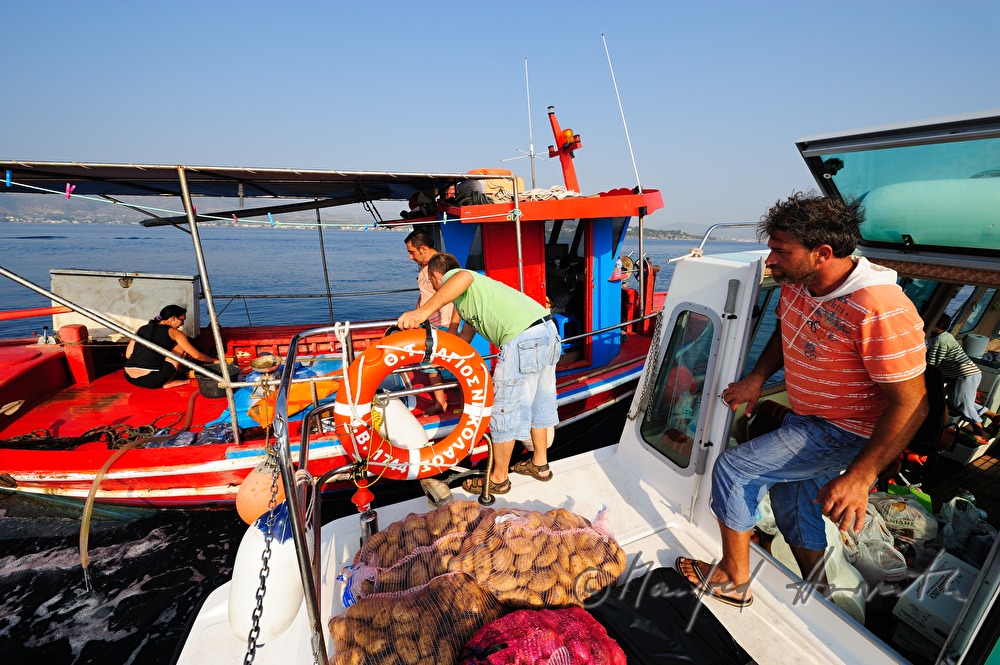 Fische Einkaufen auf auf dem Fischkutter