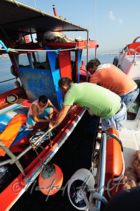 Fische Einkaufen auf auf dem Fischkutter