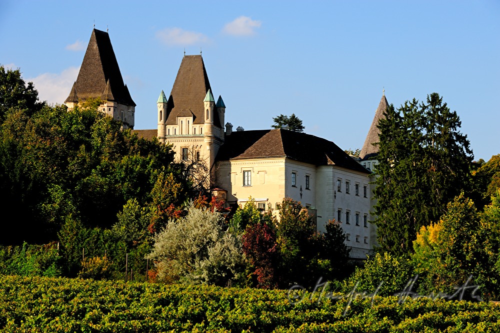 Schloss Maissau und Weinberge