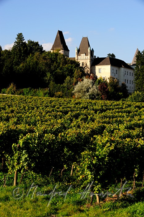 Schloss Maissau und Weinberge