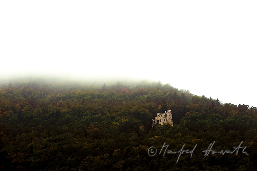 Schloss Thernberg auf einem Hang im Wald