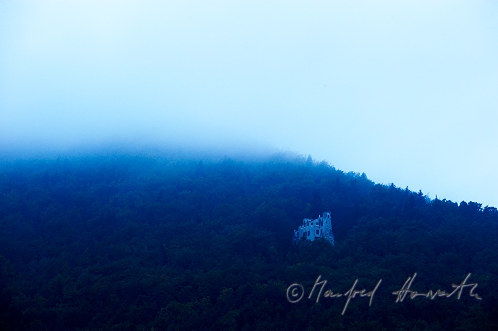 Schloss Thernberg auf einem Hang im Wald