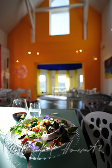 Blumen-Salat-Kreation mit Blüten im Hotel An-Alapanka-Ma