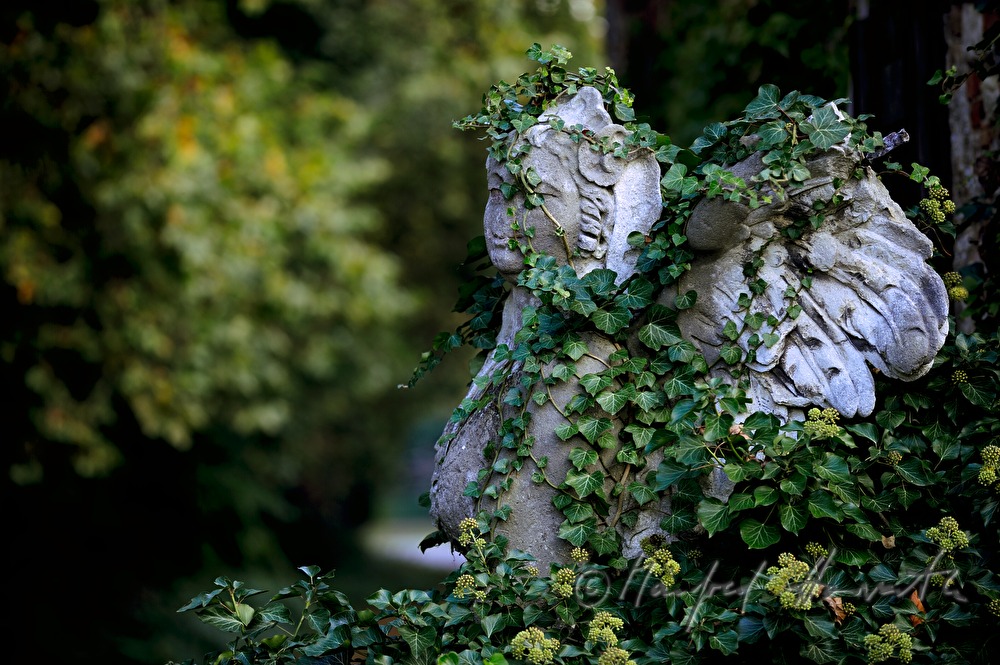 verwachsene Sphinx im Garten der historischen Papierfabrik