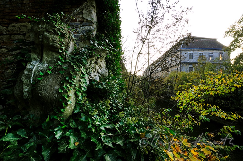 verwachsene Sphinx im Garten der historischen Papierfabrik