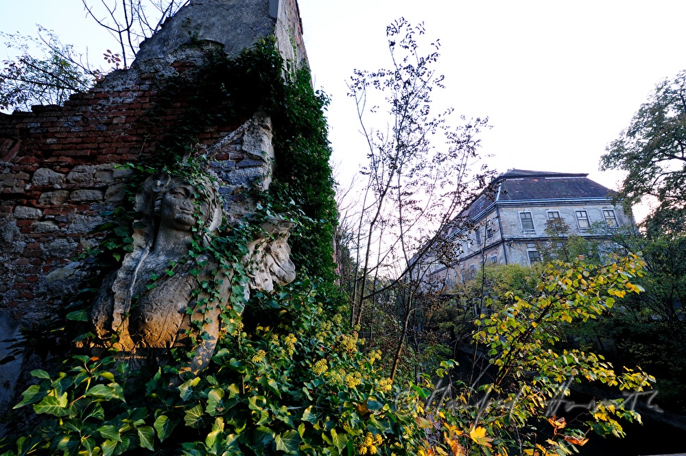 verwachsene Sphinx im Garten der historischen Papierfabrik
