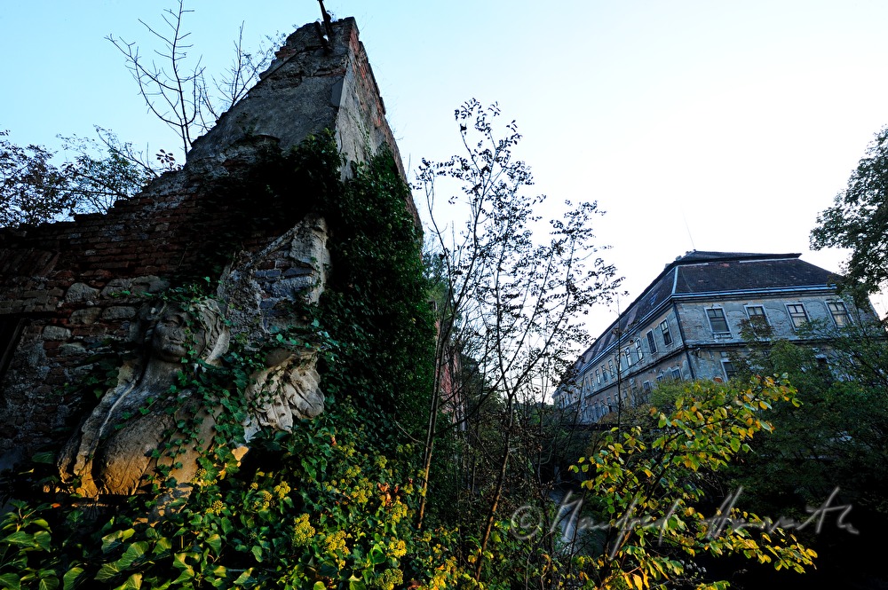 verwachsene Sphinx im Garten der historischen Papierfabrik