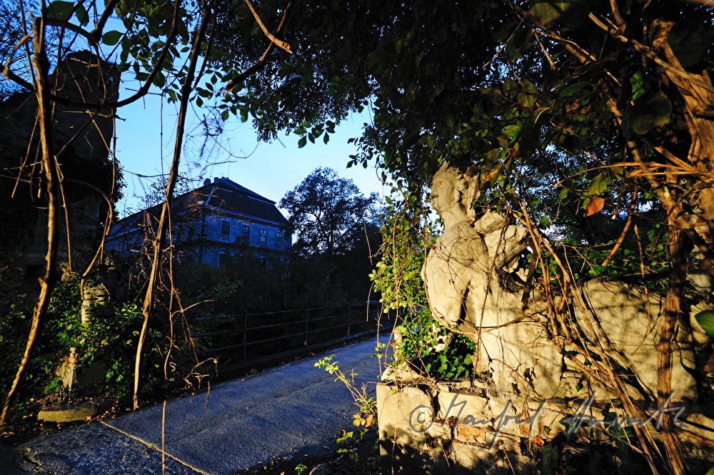 verwachsene Sphinx im Garten der historischen Papierfabrik
