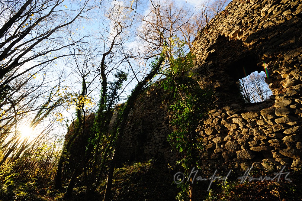 Burgmauer der Ruine Scharfeneck