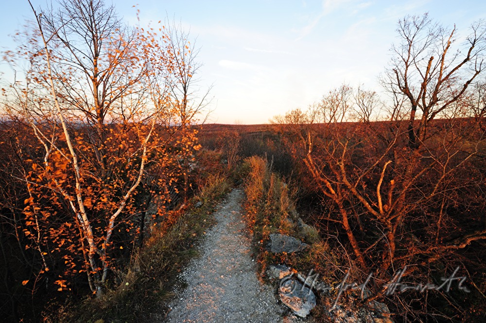 Burgmauer der Ruine Scharfeneck