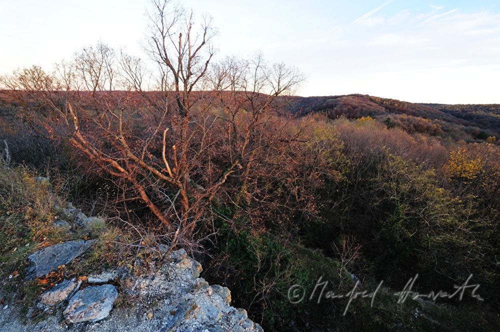 Burgmauer der Ruine Scharfeneck