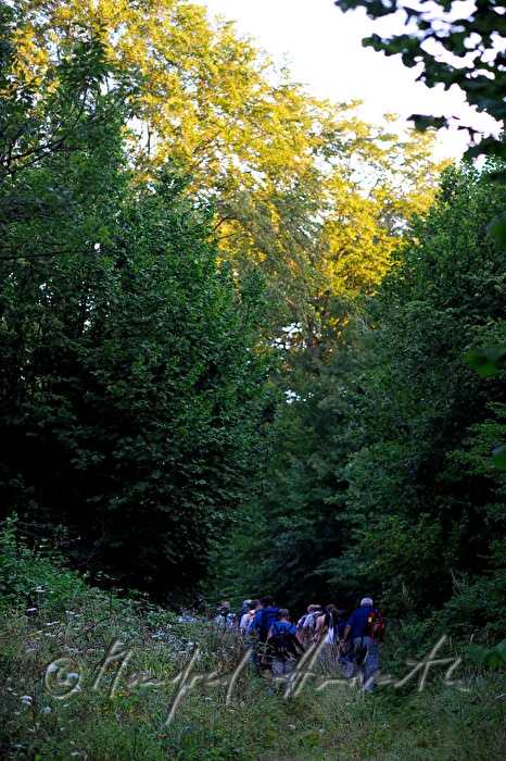 Wallfahrt der Schützener durch den Tiergarten nach Loretto