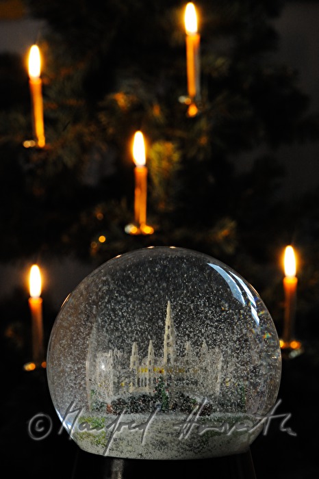 Wiener Rathaus und Weihnachtsbaum