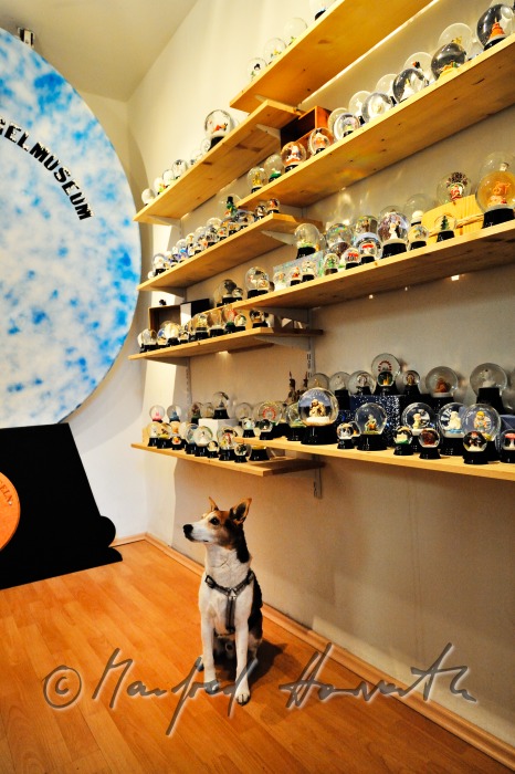 Hund im Schneekugelmuseum