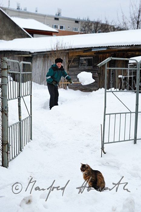 Schneeschaufeln und die Katze schaut zu