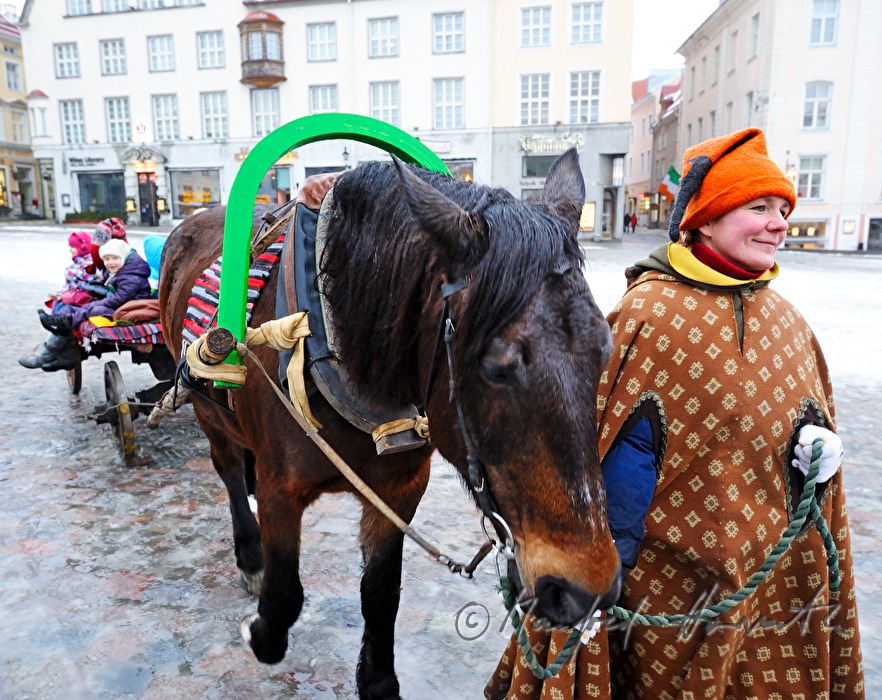 Pferdewagen mit Kindern auf dem Hauptplatz