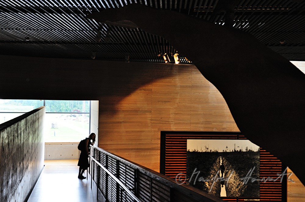 Besucherin im Finnischen Forstmuseum Lusto