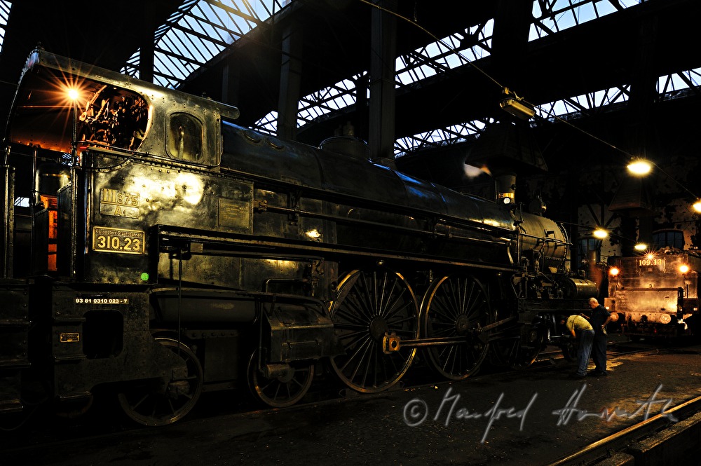 Dampflokomotive kkStB 310 im Heizhaus des Eisenbahnmuseum Strasshof