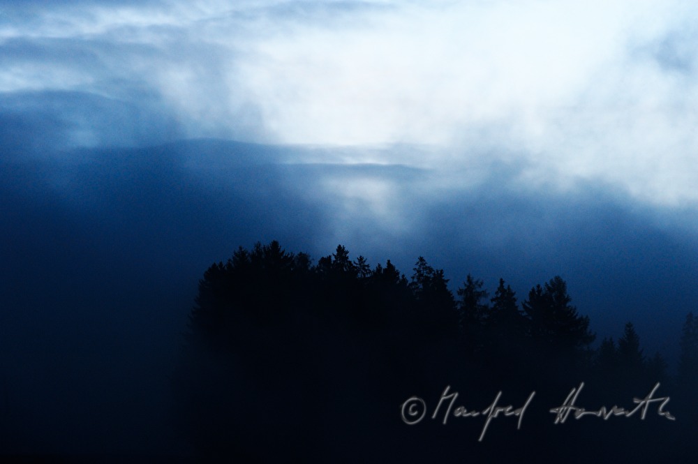Wald im Mondlicht mit Gewitterwolken