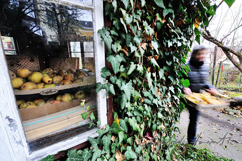 Malerin Linde Waber mit Äpfeln im Garten