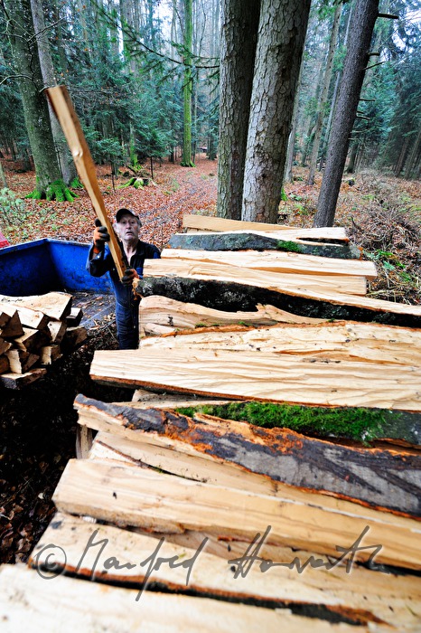 Buchenholz Aufschlichten im Wald auf Stapel