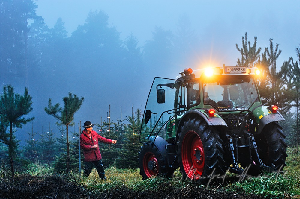 Christbaumhof Raith: Zaun als Schutz vor Wildverbiss