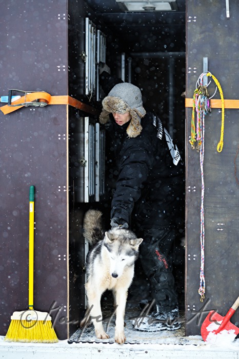 Musher (Schlittenhundeführer) mit Husky