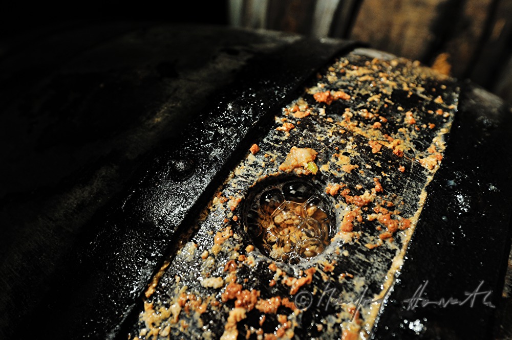 offenes Holzfass mit Gärgasblasen und 