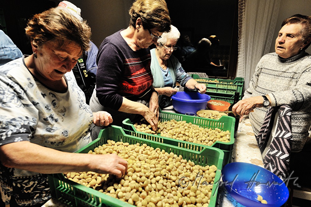 Herstellung von Kastanienreis für das Kastanienfest