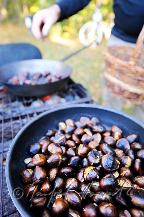 Maronibraten beim Kastanienfest im Wald