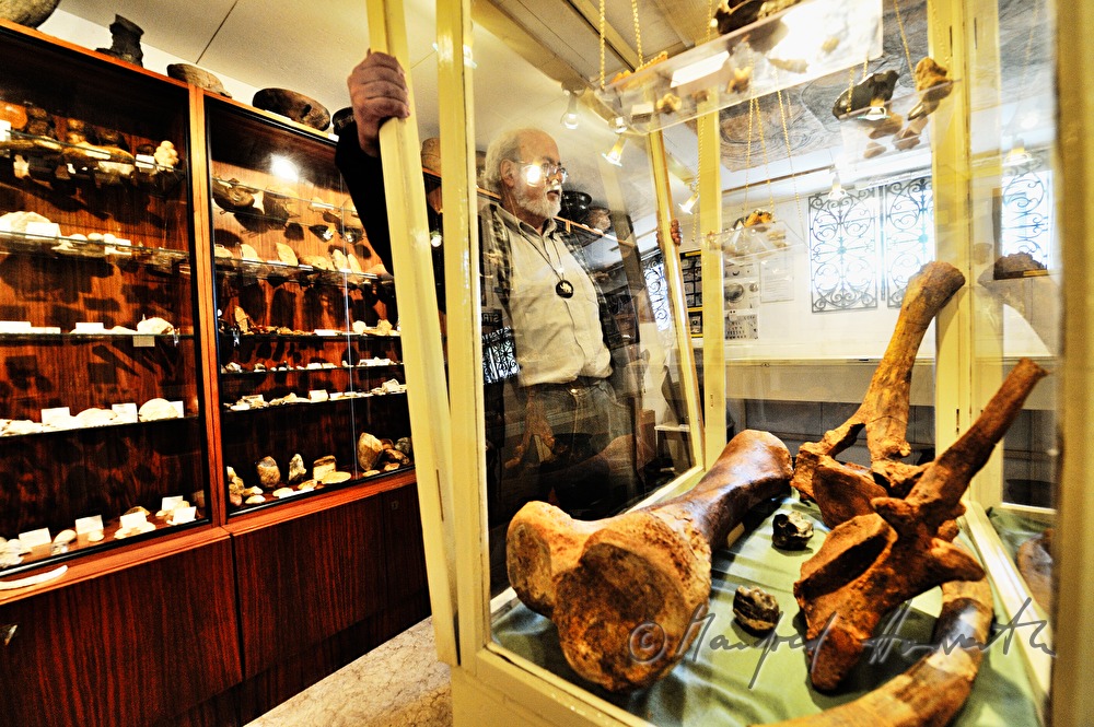 Privat-Archäologe öffnet die Vitrine in seiner Sammlung