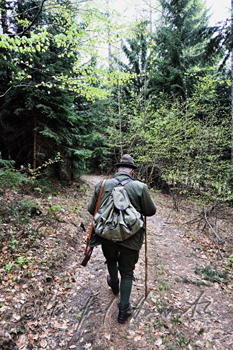 Jäger am Morgen auf dem Weg zum Hochstand