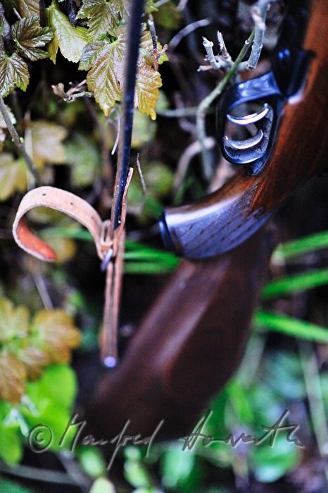 Detail des Gewehres bei der Reh-Jagd