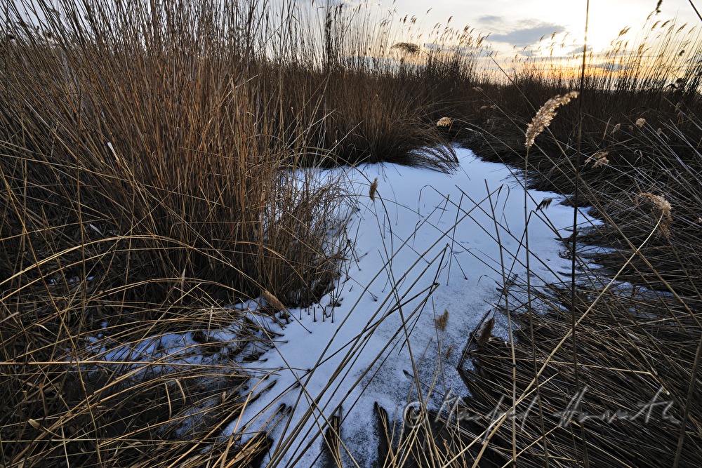 Kanal durch den Schilfgürtel
