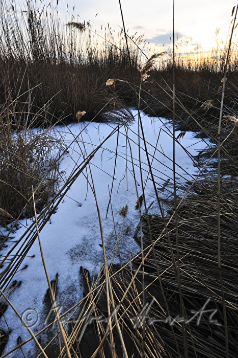 Kanal durch den Schilfgürtel