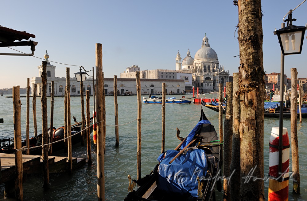 Gondeln vor der Kirche Santa Maria della Salute