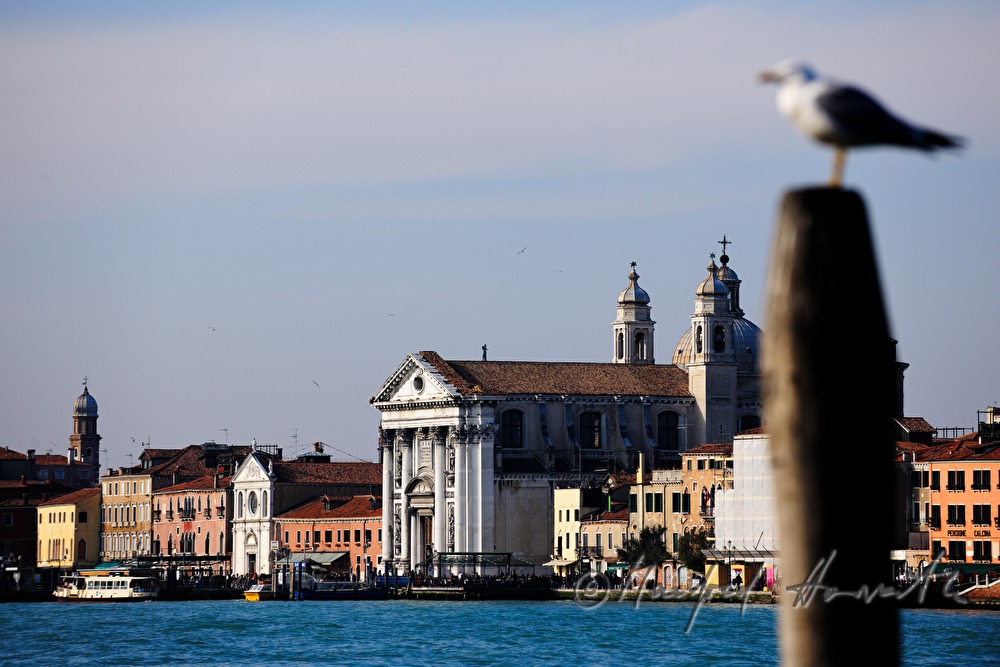 Kirche Santa Maria dei Gesuati am Giudecca Kanal