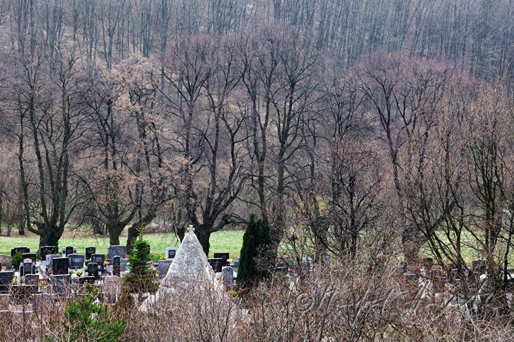 Friedhof mit Karner